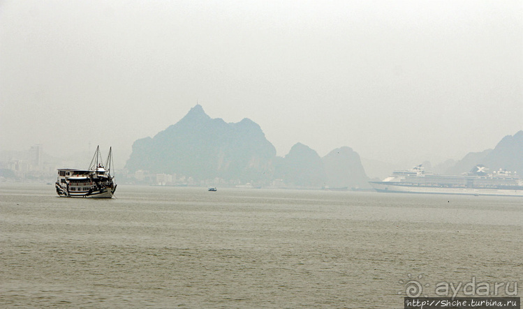 Вышла бухта из тумана