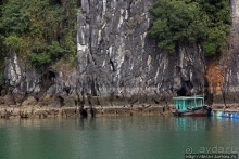 Вышла бухта из тумана