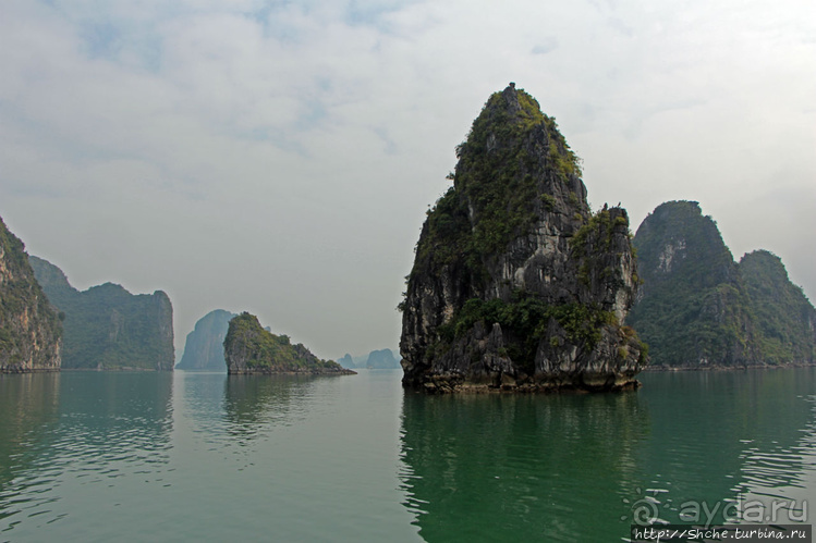 Вышла бухта из тумана