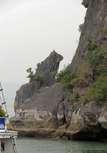 Вышла бухта из тумана