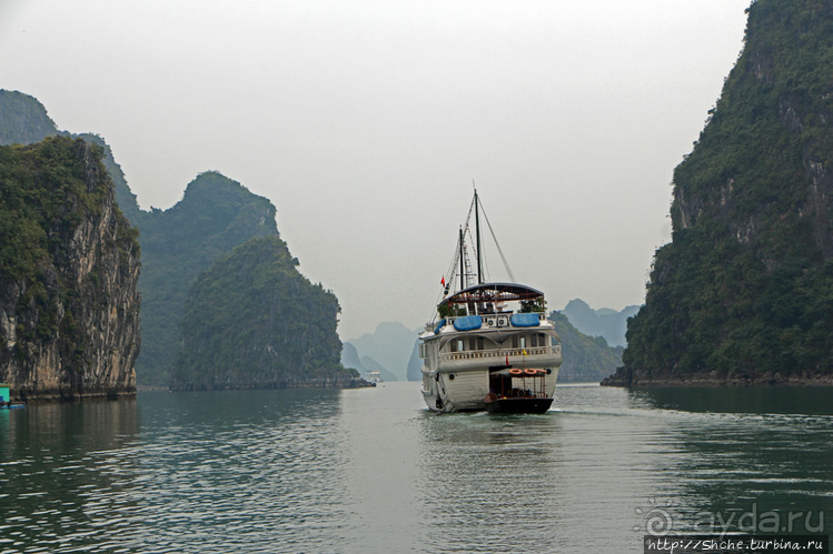 Вышла бухта из тумана