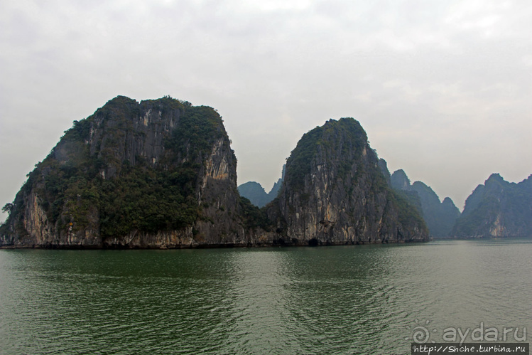 Вышла бухта из тумана