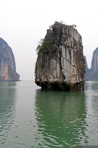 Вышла бухта из тумана