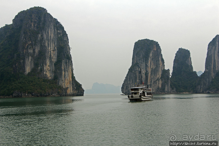 Вышла бухта из тумана