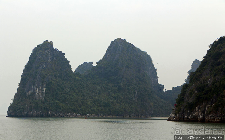 Вышла бухта из тумана