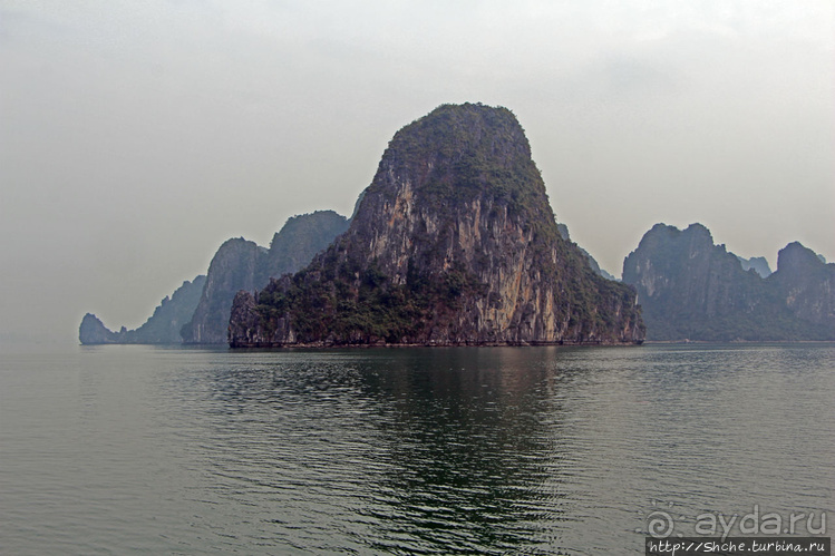 Вышла бухта из тумана