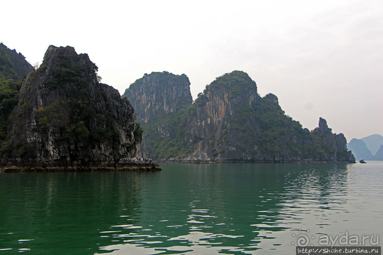 Вышла бухта из тумана