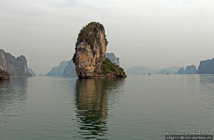 Вышла бухта из тумана