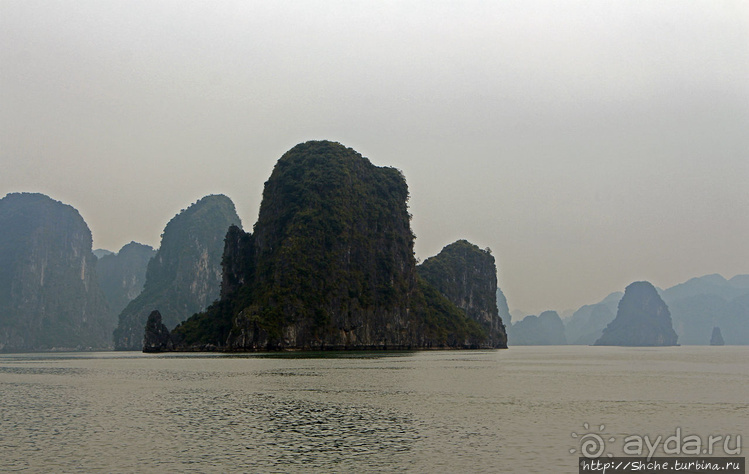 Вышла бухта из тумана