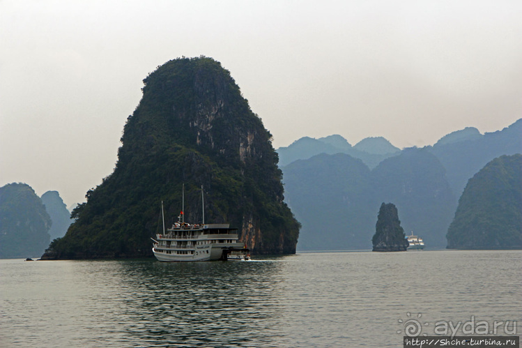 Вышла бухта из тумана