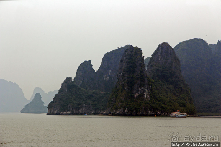 Вышла бухта из тумана