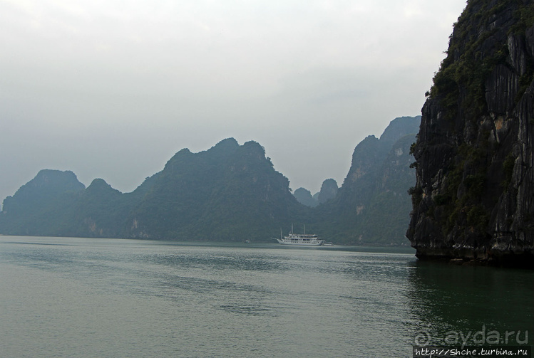 Вышла бухта из тумана