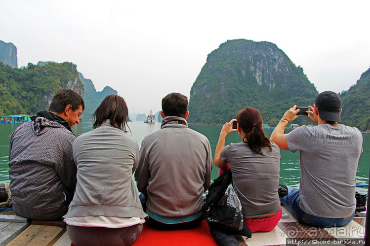 Вышла бухта из тумана