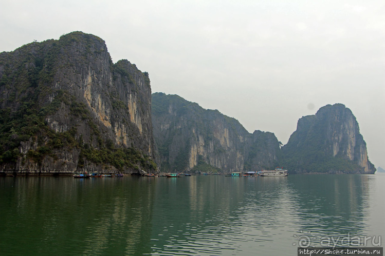 Вышла бухта из тумана