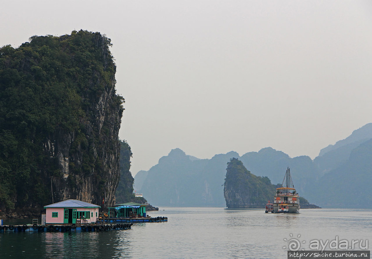 Вышла бухта из тумана