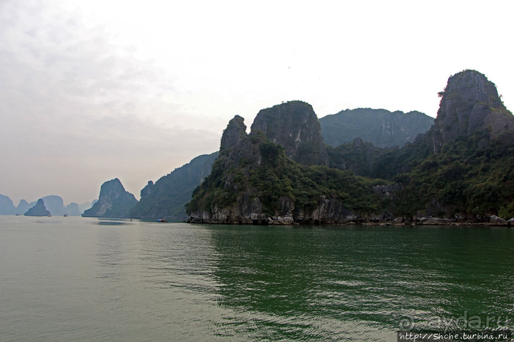 Вышла бухта из тумана