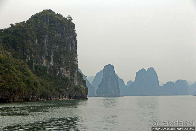Вышла бухта из тумана