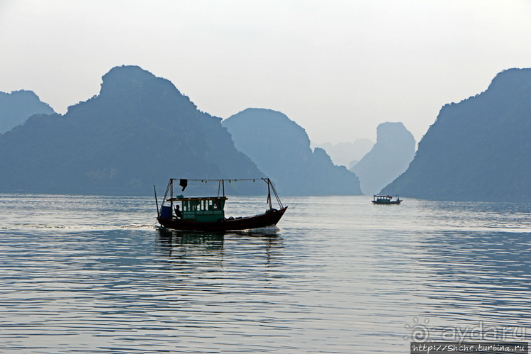 Вышла бухта из тумана
