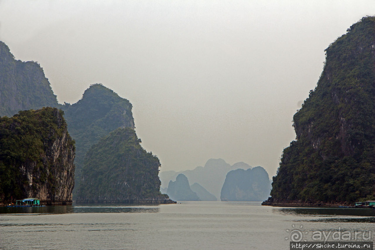 Вышла бухта из тумана