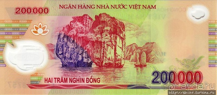 Вышла бухта из тумана