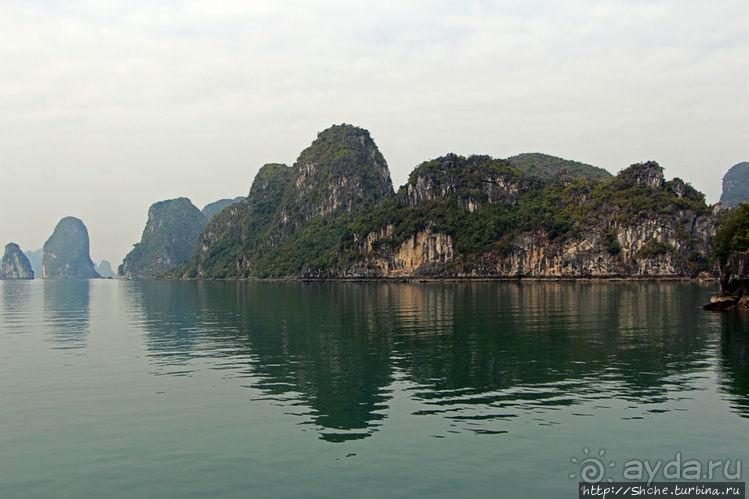 Вышла бухта из тумана