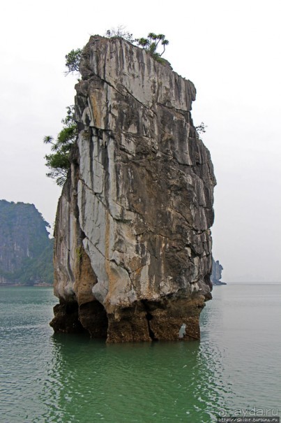 Вышла бухта из тумана