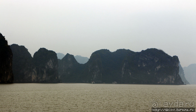 Вышла бухта из тумана