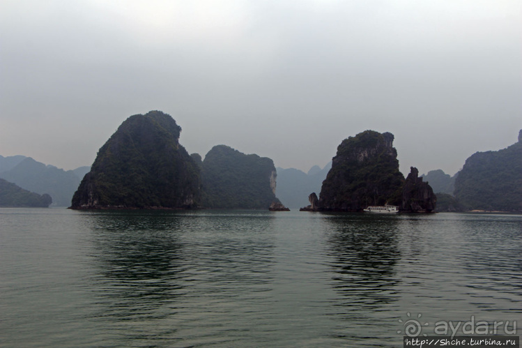 Вышла бухта из тумана