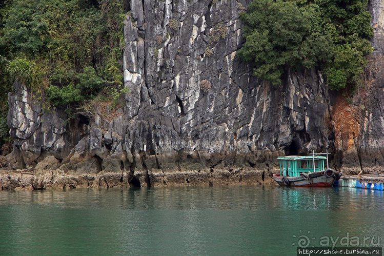 Вышла бухта из тумана