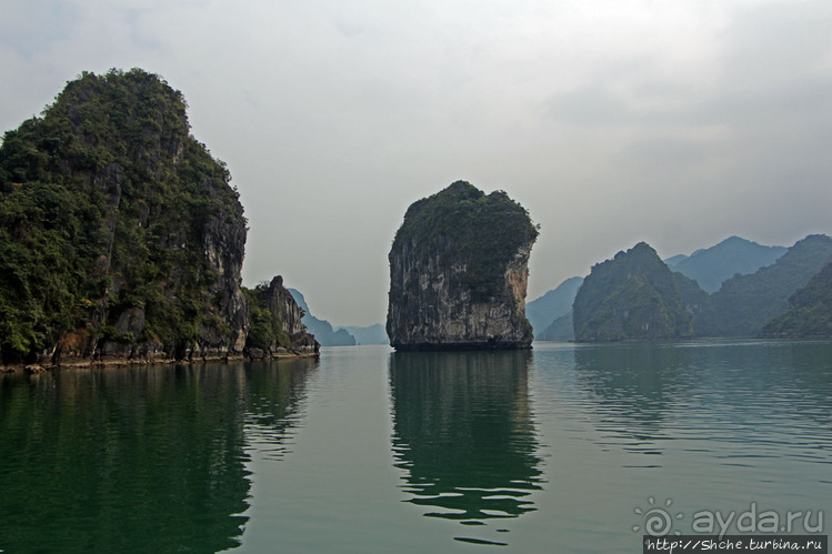 Вышла бухта из тумана