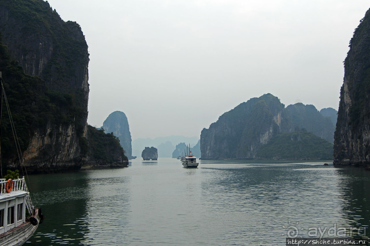 Вышла бухта из тумана