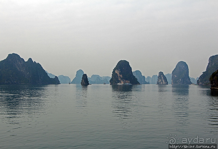 Вышла бухта из тумана