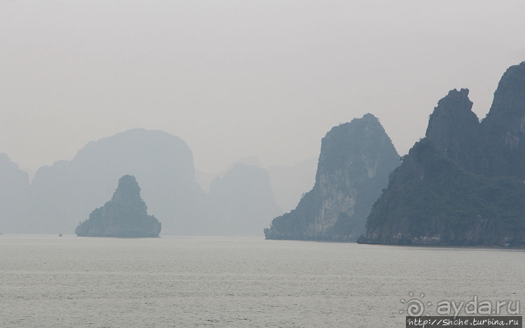 Вышла бухта из тумана