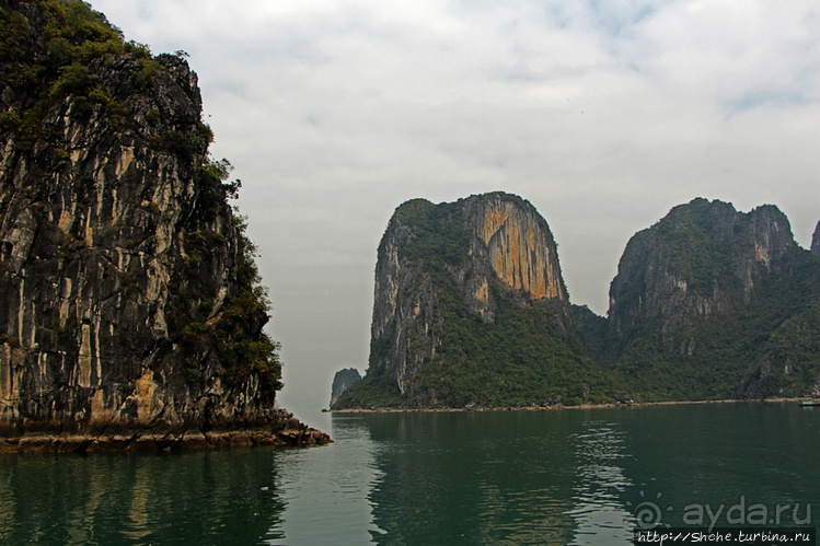 Вышла бухта из тумана