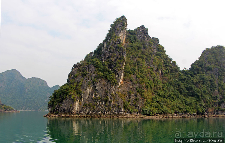 Вышла бухта из тумана