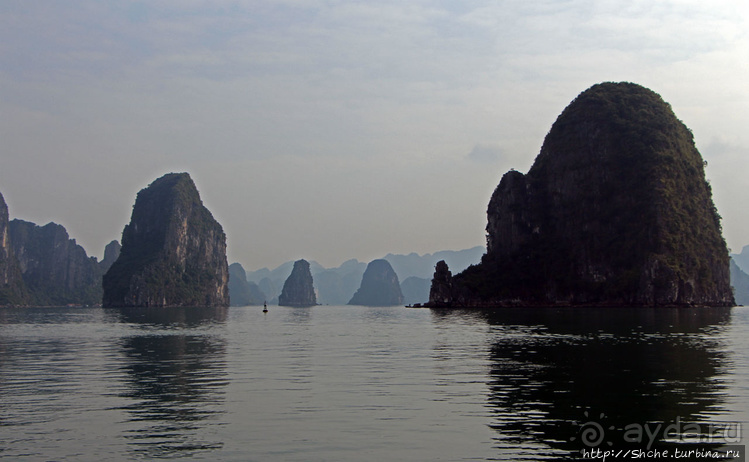 Вышла бухта из тумана