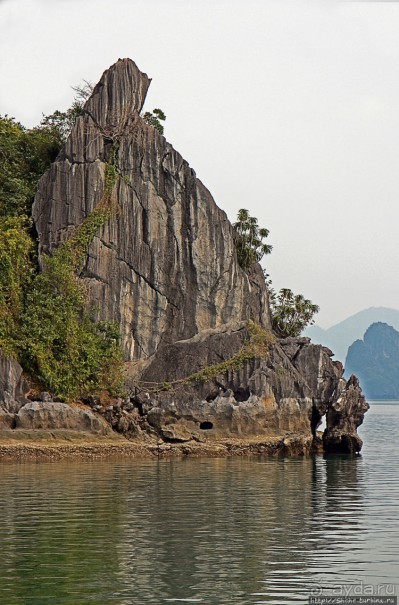 Вышла бухта из тумана
