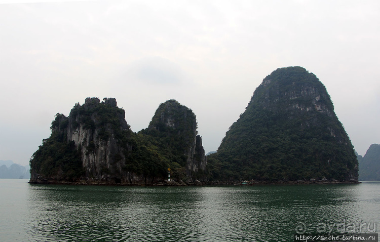 Вышла бухта из тумана