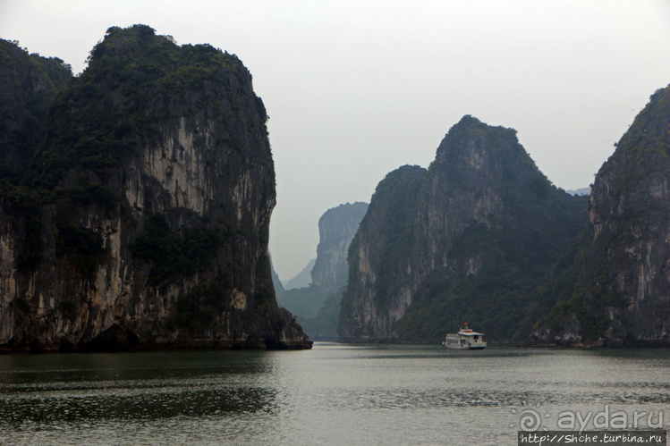 Вышла бухта из тумана