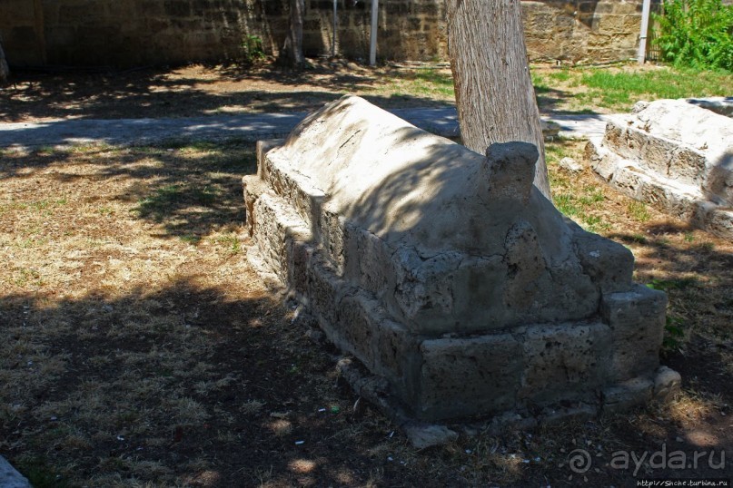 Альбом отзыва "Уютный парк меж старых гробниц. Кирения"