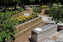 Альбом отзыва "Уютный парк меж старых гробниц. Кирения"