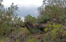 Альбом отзыва "Эт-а Эт-на"