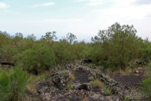 Альбом отзыва "Эт-а Эт-на"