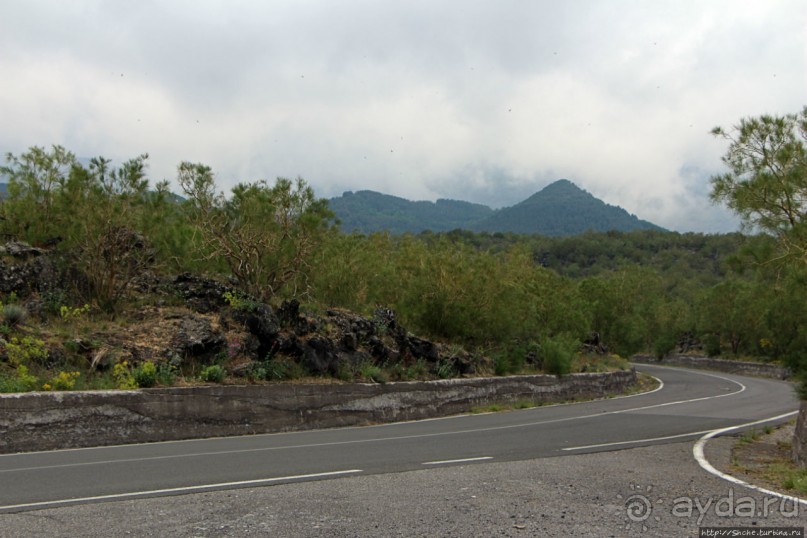 Альбом отзыва "Эт-а Эт-на"