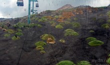 Альбом отзыва "Эт-а Эт-на"