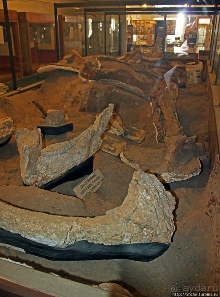 Долина Смерти. Шошони (Shoshone) — край цивилизации