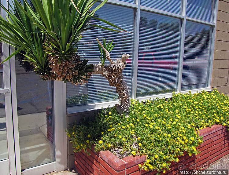 Долина Смерти. Шошони (Shoshone) — край цивилизации