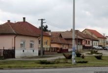 950-летний Ракамаз — старший брат знаменитого Токая