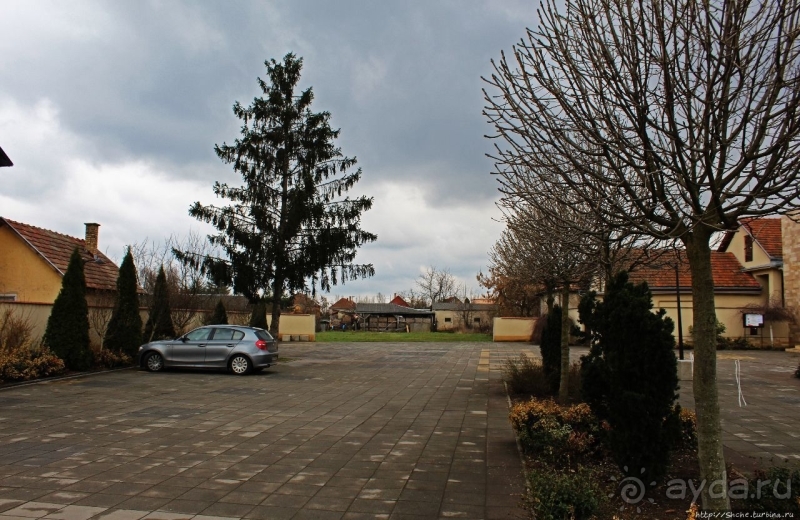 950-летний Ракамаз — старший брат знаменитого Токая