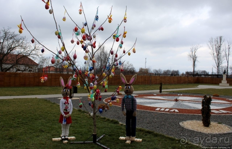 950-летний Ракамаз — старший брат знаменитого Токая